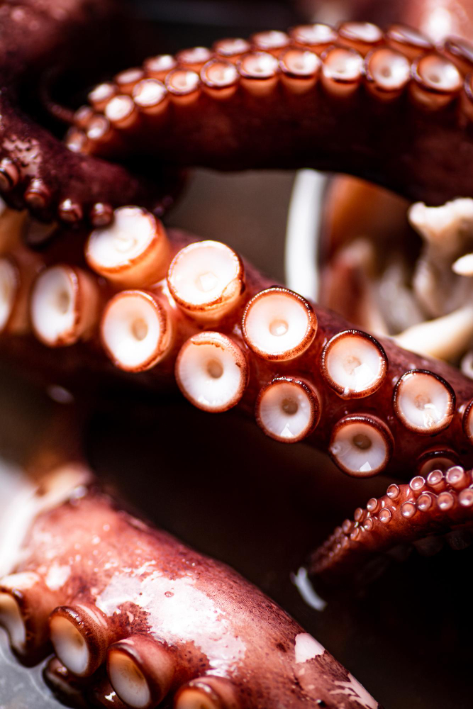 Texture-as-Function (not decoration)